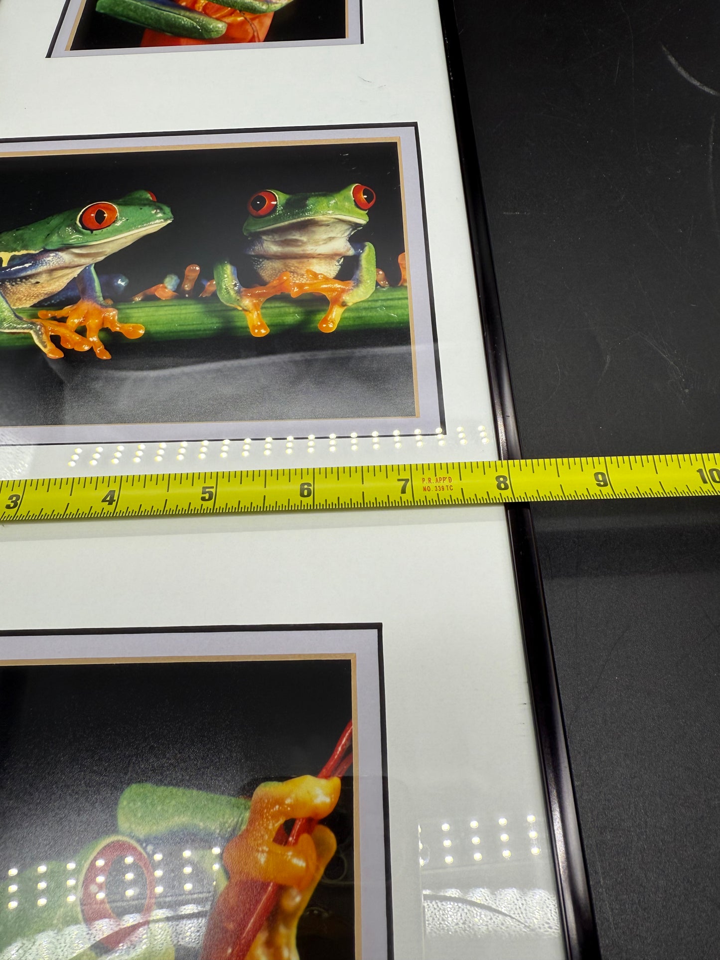 Signed-Red-Eyed Tree Frogs Photos By Mark J Thomas Framed Published Photographer. Framed and matted professionally.