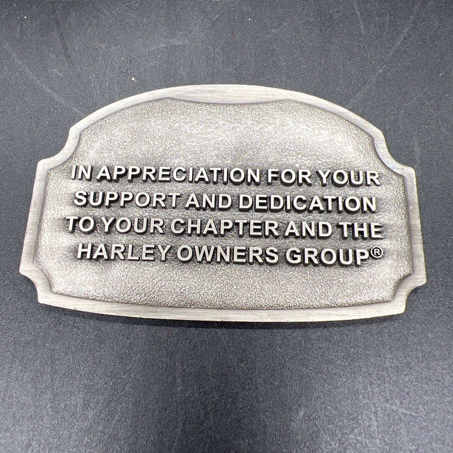 HARLEY-DAVIDSON MOTORCYCLES OWNERS GROUP HOG 2019 PLAQUE PAPERWEIGHT